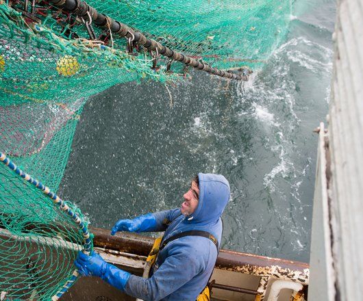 Pêcheur en mer en train d'assister le ramassage d'un filet sur un bateau