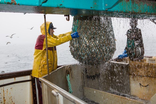 Plan d'un marin pêcheur en train de relever un filet sur un bateau de pêche en mer