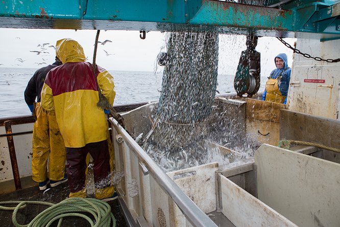 Pêcheurs au travail sur un chalutier, en mer