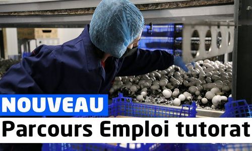 Lou légumes : une des premières entreprises à bénéficier du dispositif Parcours Emploi tutorat